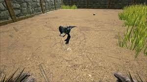 Ark Survival Ascended Oviraptor Taming Guide