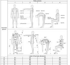 A single muscle may fall under two functional groups. Defined Cross Sections Body Dimensions And Labelling Of Body Download Scientific Diagram