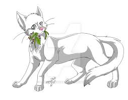 Anime Warrior Cat Drawing Anime Wallpapers All the best sad cat drawing 38+ collected on this page. anime warrior cat drawing anime