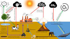Siklus karbon merupakan daur biogeokimia yaitu. Siklus Karbon Pengertian Macam Jenis Dan Proses Tahapan Jagad Id