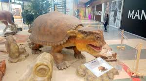 In acelasi mod ca si felinele din zilele noastre moderne, tigrul cu dinti sabie a fost un animal carnivor. Sun Plaza Are O ExpoziÈie De Animale Preistorice Inclusiv Un Mamut Lanos In MÄrime NaturalÄ Nwradu Blog