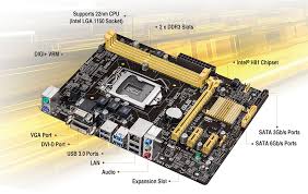 H81m E Motherboards Asus Indonesia