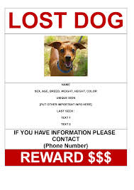Missing Dog Poster With Reward A3 Size Download This Missing Dog A3 Size Poster Template If You Are Looking For A Dog An Losing A Dog Losing A Pet Dog Poster