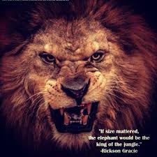 If Size Mattered The Elephant Would Be The King Of The Jungle Lion Roaring Lion Lion Poster