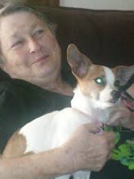 Aussie rescue dog still thinks it's a lap dog