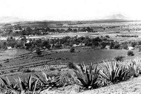 Panoramica Del Pueblo De Tlalpan Al Sur De La Ciudad De Mexico Foto De 1905 Ciudad De Mexico Historia De Mexico Viaje En El Tiempo
