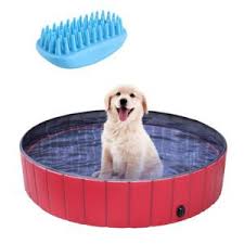 top 10 best foldable dog pools swimming pools bathing tubs reviews in 2020 dog pool dog swimming dog swimming pools