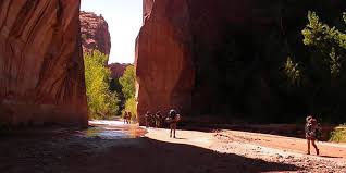 Maybe you would like to learn more about one of these? Blog Archives Page 2 Of 7 Aspiro Wilderness Adventure Therapy