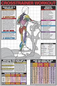 Details About Elliptical Cross Trainer Professional Cardio Fitness Gym Wall Chart Poster