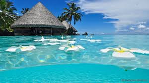 Pick the mobile or cover photo options for your smartphone or social media profiles. Windows Desktop Wallpaper Beach Novocom Top