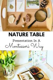 Nature Table Presentation In A Montessori Way The Little Montessori House Nature Table Montessori Activities Baby Montessori