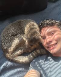 Silas Hart (@silas_hart) • Instagram photos and videos