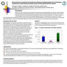 Sexual Risk Behaviors And Sexually Transmitted Infection