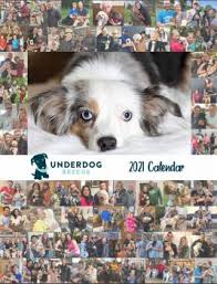 (2 days ago) underdog pet rescue mn.underdog is a strong network of volunteers dedicated to saving the underdogs in our shelters and community. Home Underdog Rescue
