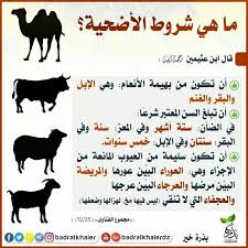 Pin By Messouak On دعوات اسلاميه Islam Islamic Pictures Peace Be Upon Him