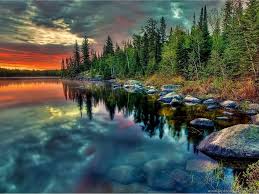 Beautiful, free images gifted by the world's most generous community of photographers. Elegant In Addition To Attractive Very Beautiful Nature Wallpapers Desktop Background