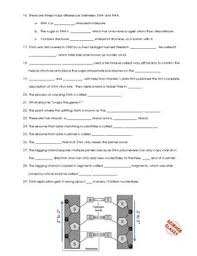 Dna structure and replication review. Crashcourse Biology 10 Dna Structure And Replication By Science Classy