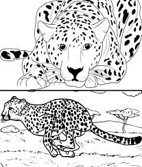 Easy cheetah drawing at getdrawings. Cheetah Coloring Pages Draw Templates And Images To Print