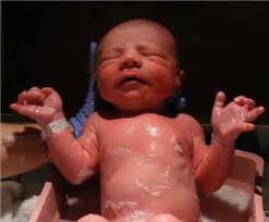 Dennis Hester-Fitzgerald Obituary (2007)