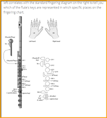 The Fast Foolproof Way To Learn Flute Notes Beginners