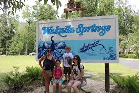 Maybe you would like to learn more about one of these? Wakulla Springs State Park In Wakulla Springs Florida Kid Friendly Attractions Trekaroo