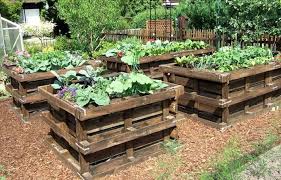 Pallet Raised Garden Beds 20 Wonderful Pallet Ideas Using Pallets Wood 101 Pallets Pallets Garden Pallet Garden Raised Garden