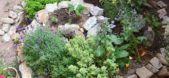 Ein kleiner kräutergarten im garten oder balkon ist eine wunderbarer gaumenschmaus. Krautergarten Anlegen Das Solltest Du Unbedingt Wissen Willkommen In Franks Kleinem Garten