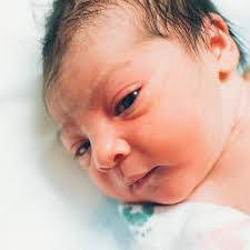 Selah Rose's Instagram, Twitter & Facebook