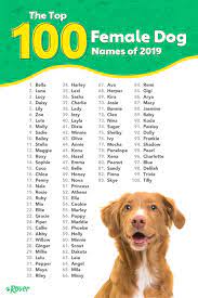 pin on dog names