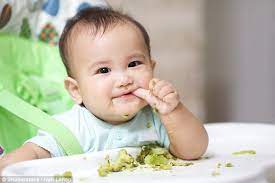 Babies Should Be Fed Solid Food From Just 3 Months Daily Mail Online