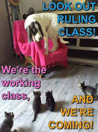 Pin By Alma Evelyn Scott On My Memes My Photos Photo Memes