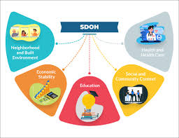 Social Determinants Of Health Sdoh In 2020 Healthcare Solutions Neighborhood Health Healthcare Organizations