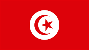 The bandera cad will mail out annual notices of appraised value the first week of may. La Similitud Entre Las Banderas De Tunez Y Turquia