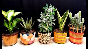 Check out our home decor pots selection for the very best in unique or custom, handmade pieces from our shops. How To Decorate Flower Pots At Home Diy For Home Decor Youtube
