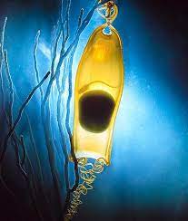 Pin By Kats Thrifty Treasures On The Sensational Sea Mermaid Purse Sea Creatures Sea Animals