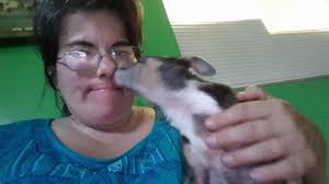 Is this sweet kitten lost near Cherry Valley Acres?