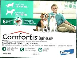 Comfortis For Cats Evergreenre Co