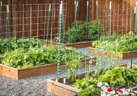 Materials when using 2x6 boards. All About Raised Bed Gardens This Old House