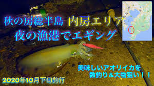 内房の夜にエギングでアオリイカ釣り 房総秋イカエギング 2020年10月千葉県房総の釣り Youtube