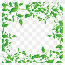 Browse 33,678 leaves border stock photos and images available, or search for fall leaves border or autumn leaves border to find more great stock photos and pictures. Mq Green Leaf Leaves Frame Frames Border Borders Leaf Border Png Vector Clipart 536016 Pinclipart