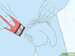 Enjoy this how to shave informational video + tips! How To Shave Your Genitals Male 14 Steps With Pictures