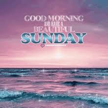 Gif nature good morning happy sunday. Happy Sunday Gifs Tenor