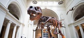 A museum is an institution that cares for (conserves) a collection of artifacts and other objects of artistic, cultural, historical, or scientific importance. 10 Reasons To Visit A Museum Colleen Dilenschneider