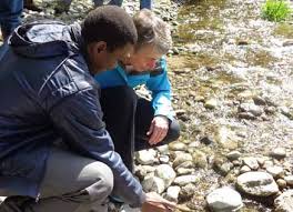 TWENTY YEARS OF LEADERSHIP