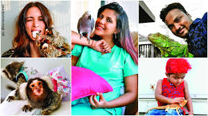 The finger monkeys breeder, why are the prices so low and last but not least the health status. Unusual Pets And Where To Find Them