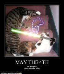 Happy Star Wars Day Happy Star Wars Day Star Wars Puns Star Wars Humor