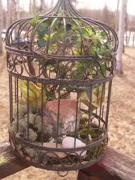 Bird Bath For Inside Cage Pin By Holly Riordan On The Fairy Gardens I Want To Build Small Bird Cage Bird House Kits Bird Bath Garden