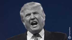 Trump solo está enojado con Mike Waltz por tener el número del reportero de  The Atlantic