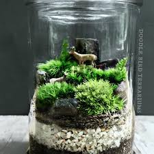 Miniature Forest Moss Terrarium With Deer Moss Terrarium Terrarium Garden Terrarium