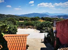 The 200 homes up for grabs are in poor. Agriturismo Costiolu Hotel Ollolai Prezzi 2021 E Recensioni